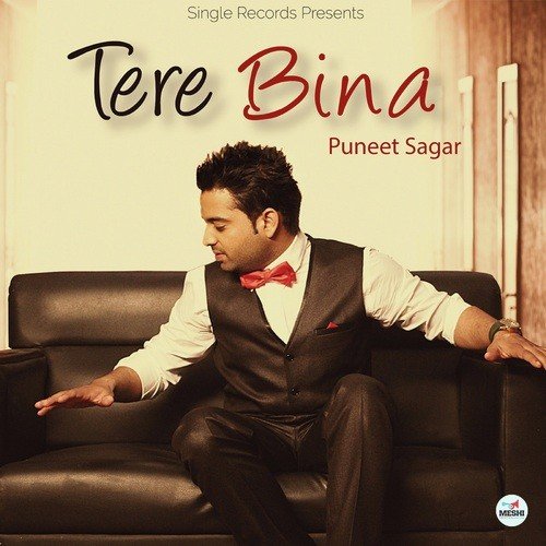 Tere Bina - Puneet Sagar