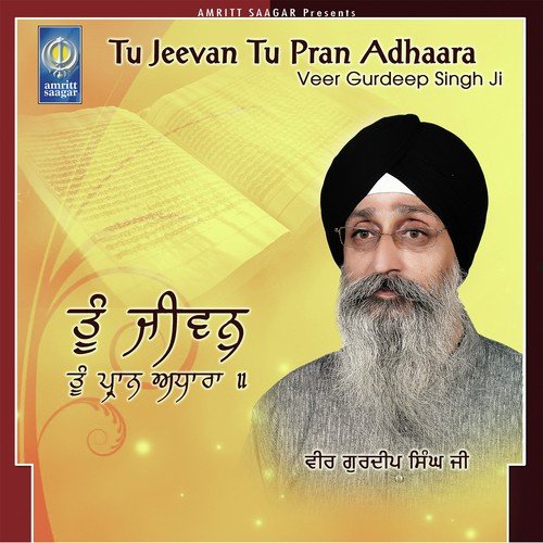 Simro Simar Simar Sukh Pavoh - Veer Gurdeep Singh Ji