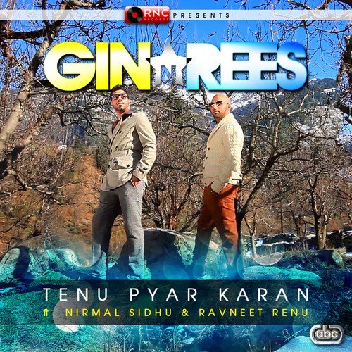 Tenu Pyar Karan - Gin, Rees