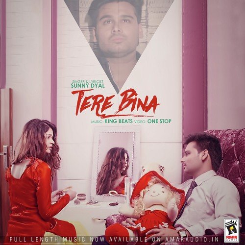 Tere Bina - Sunny Dyal