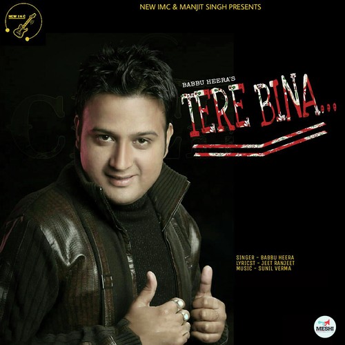 Tere Bina - Babbu Heera