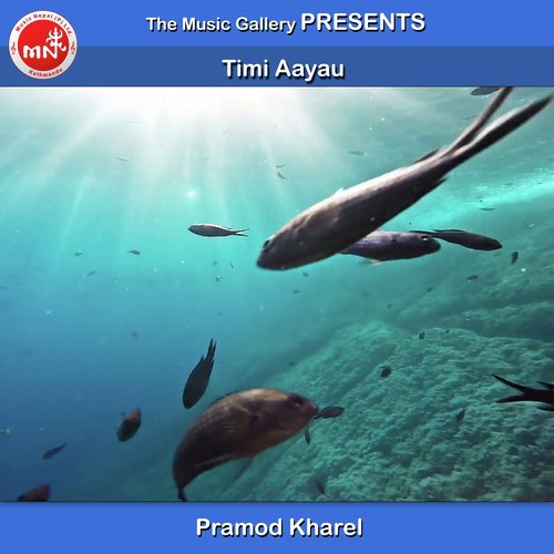 Timi Aayau - Pramod Kharel