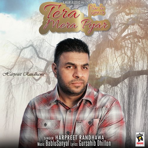 Tera Mera Pyar - Harpreet Randhawa
