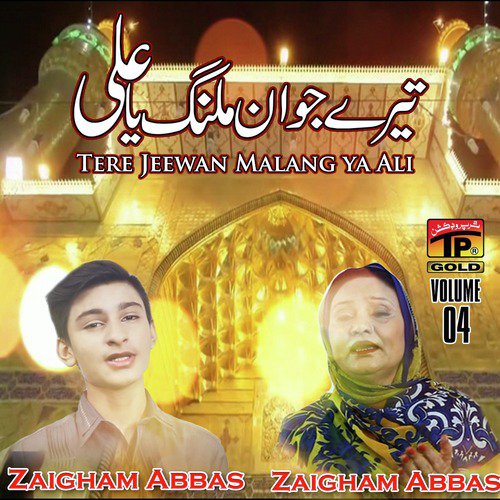 Dil - Zaigham Abbas, Hub-e-Zehra
