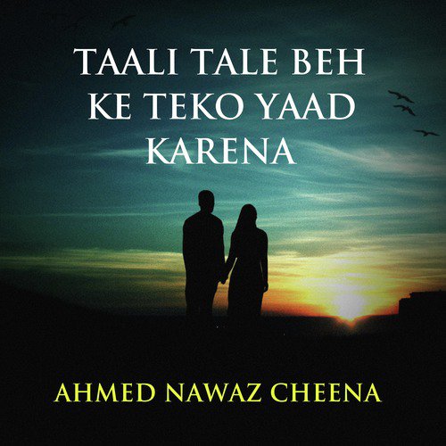 Toon Chan Meda Chan - Ahmed Nawaz Cheena