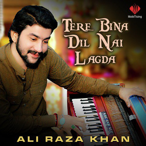 Tere Bina Dil Nai Lagda - Ali Raza Khan