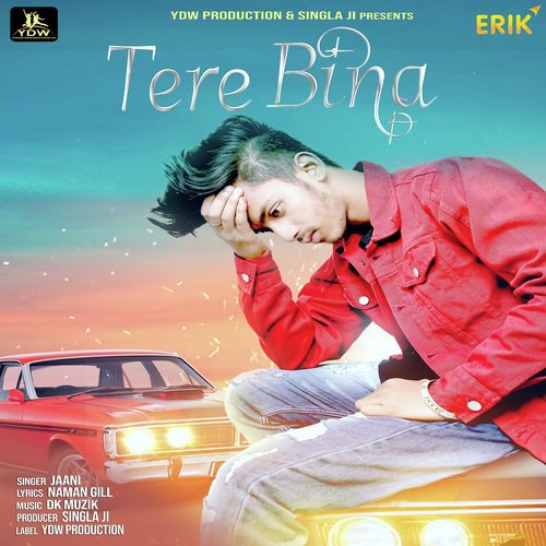 Tere Bina - Janni