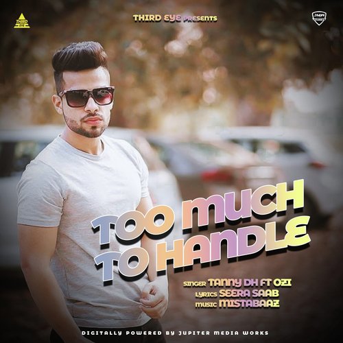 Too Much to Handle - Tanny D, Ozi