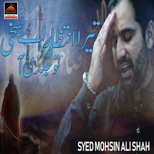 Bibi Zainab Sa - Syed Mohsin Ali Shah