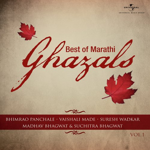 Nahi Manayala Aata Aase Karu Ya - Various Artists