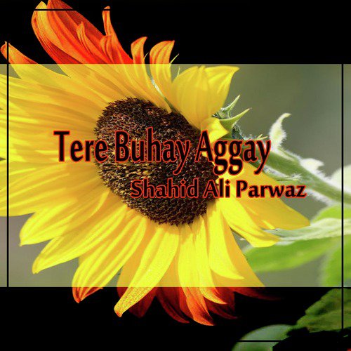 Raatan Jaag Jaag - Shahid Ali Parwaz