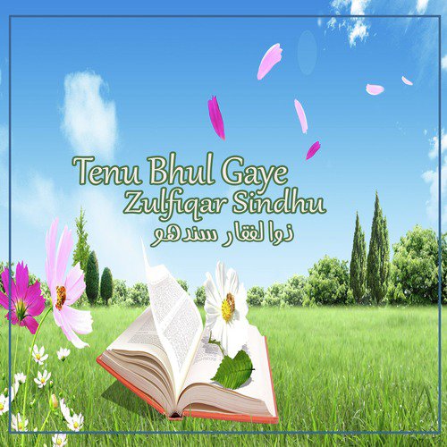 Tenu Bhul Gaye - Zulfiqar Sindhu
