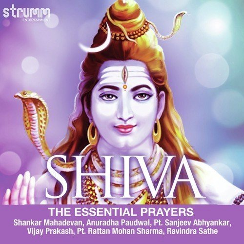 Jai Shankar Shiv Shankar - Bhajan - Sonu Nigam