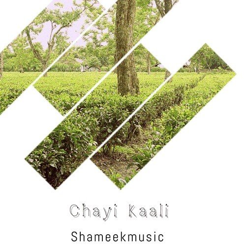 Chayi Kaali - Akshat Rahi