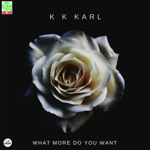 What More Do You Want - KK Karl