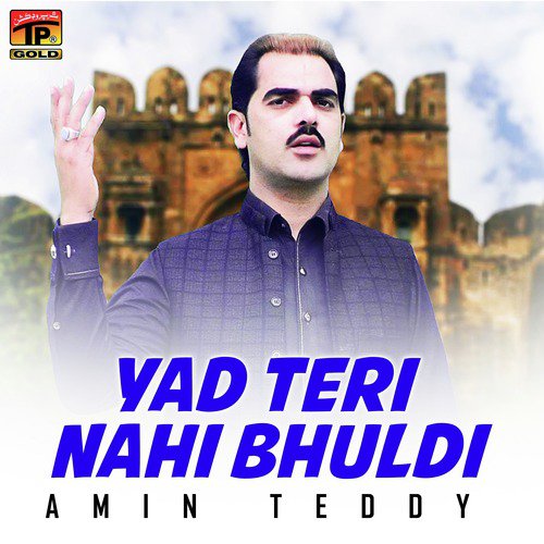 Yad Teri Nahi Bhuldi - Amin Teddy