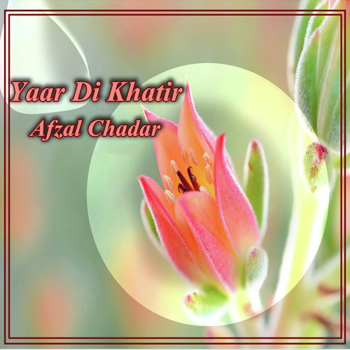 Lambi Baan - Afzal Chadar