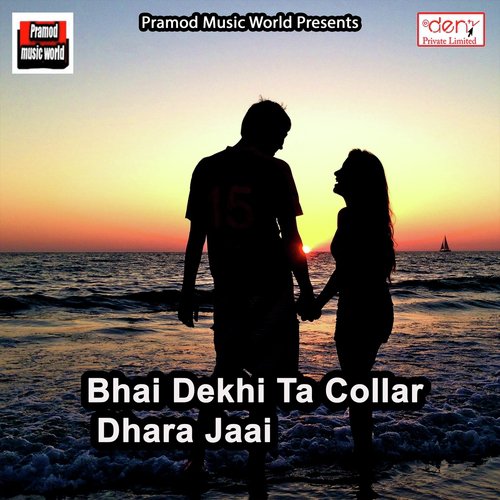 Piya Pradesh Jake Gaila Bhulail Ho - Various Artists