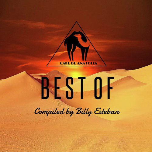 Pustiya - Various Artists