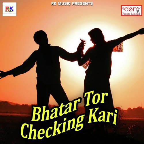 Ghare Aaja Rangela Choli Raja Ji - Various Artists