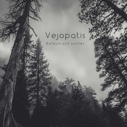 Ledo asara - Vejopatis