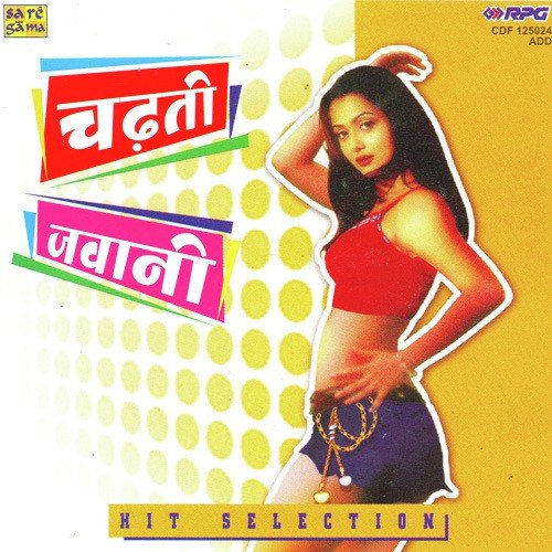 Bade Miya Diwane - Various Artists