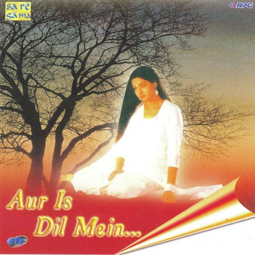 Meri Qismat Men Tu Nahin Shayad - Various Artists