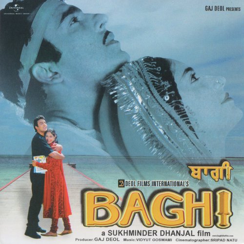 Baghi   Hathaan Diyan Chaar Lakeeraan Ton (Baghi  Soundtrack Version) - Various Artists