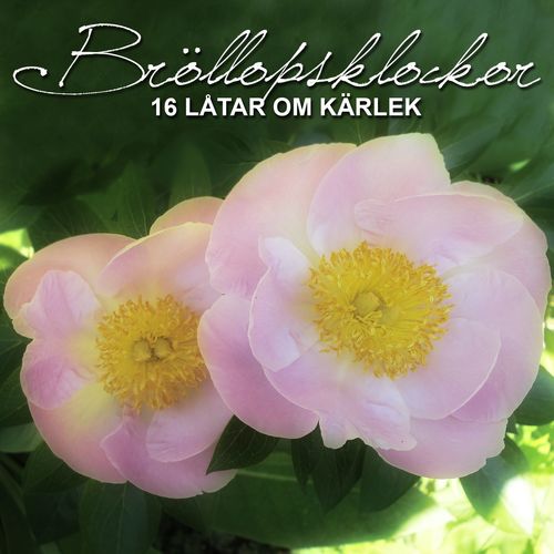 Sng till friheten - Blandade Artister