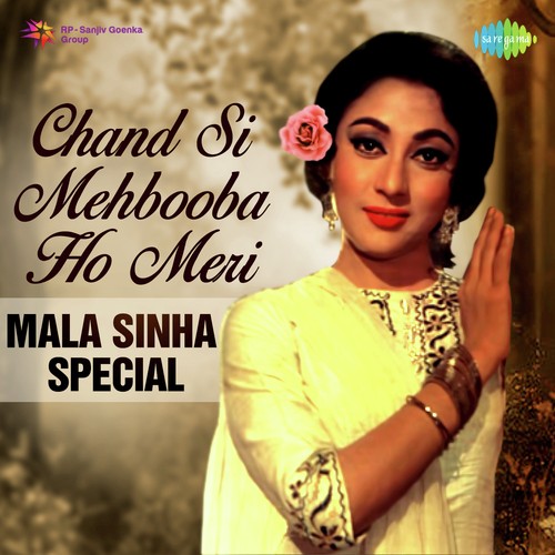 Dil Tera Diwana Hai Sanam (From Dil Tera Deewana) - Various Artists