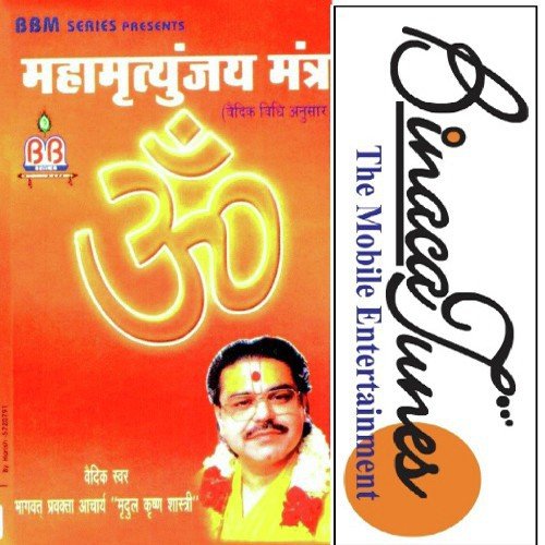 Mahamrityunjay Mantra - Dipti Wadhera