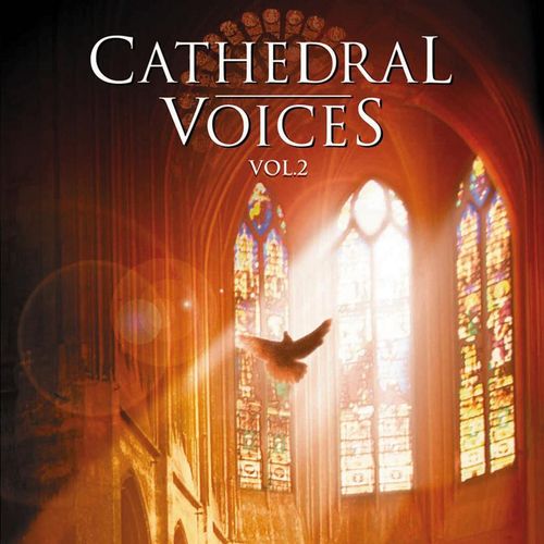 Litanies  la vierge noire, FP 82 Notre-Dame de Roc-Amadour - Various Artists