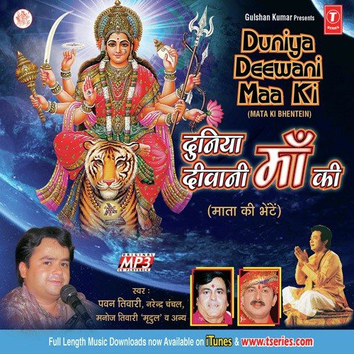 Jhoola Jhoolailo Re - Various Artists