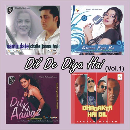 Dhadakta Hai Dil (Remix) - Imraan Danish